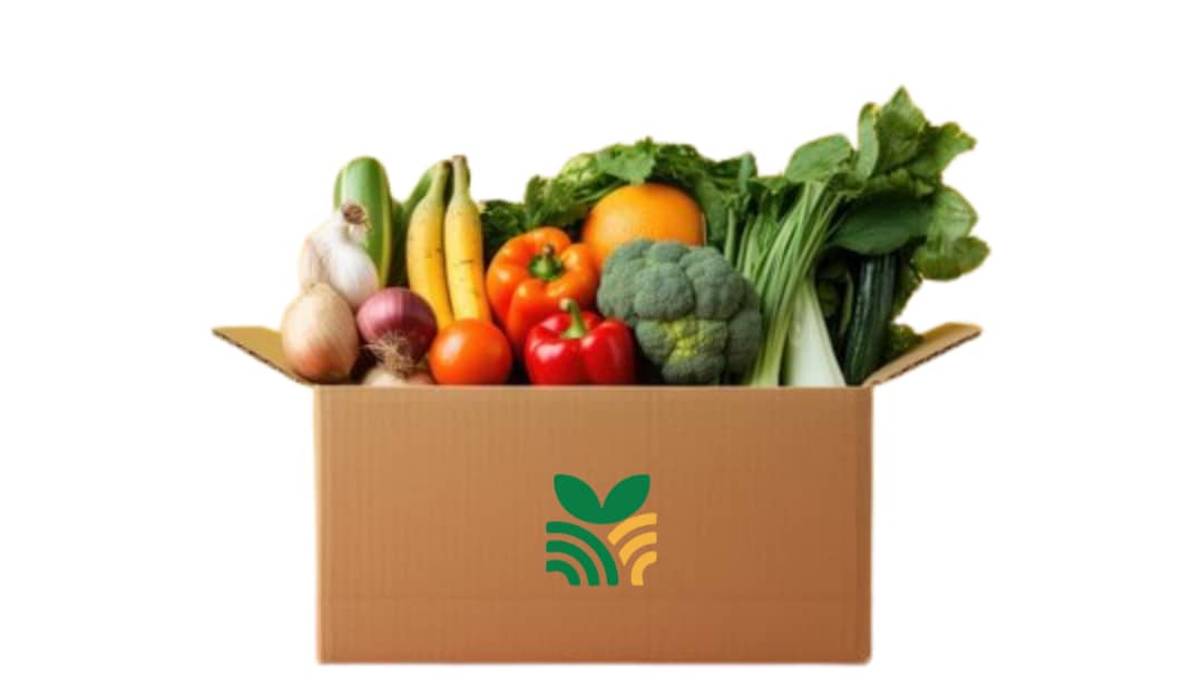 Fresh Food Basket